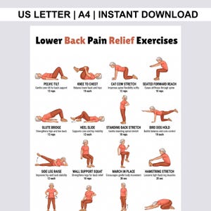 Peut inclure: Un guide imprimable intitulé "Exercices de soulagement des douleurs lombaires" avec des illustrations de divers étirements. Les exercices comprennent l'inclinaison pelvienne, le genou à la poitrine, l'étirement du chat et de la vache, etc.