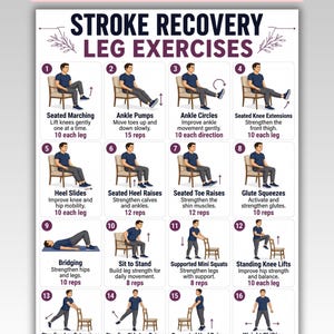 May include: A digital chart titled STROKE RECOVERY LEG EXERCISES featuring sixteen numbered illustrations of a person performing various physical therapy movements, including seated marching, ankle pumps, squats, and leg lifts with text instructions.