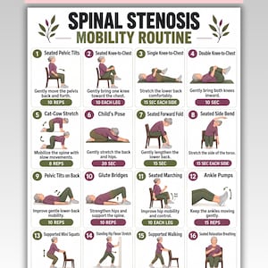 May include: A digital poster titled Spinal Stenosis Mobility Routine featuring sixteen numbered illustrations of a person performing various physical therapy exercises, including seated and floor movements with instructional text and repetition counts.