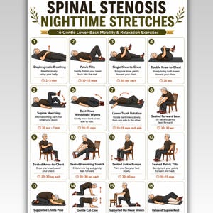 May include: A digital poster titled Spinal Stenosis Nighttime Stretches featuring 16 numbered illustrations of a person performing lower-back mobility exercises. The chart includes text instructions and duration for each movement, available in US Letter and A4 sizes.