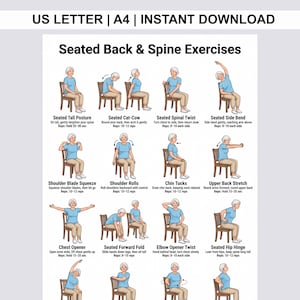 Seated Back & Spine Exercises for Seniors Printable Chart | Chair Stretches PDF | Elderly Posture Mobility Balance Illustrated Workout