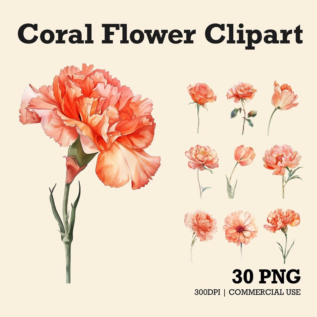 Coral Carnation PNG Clipart, Watercolor Floral Bundle, Mothers Day ...