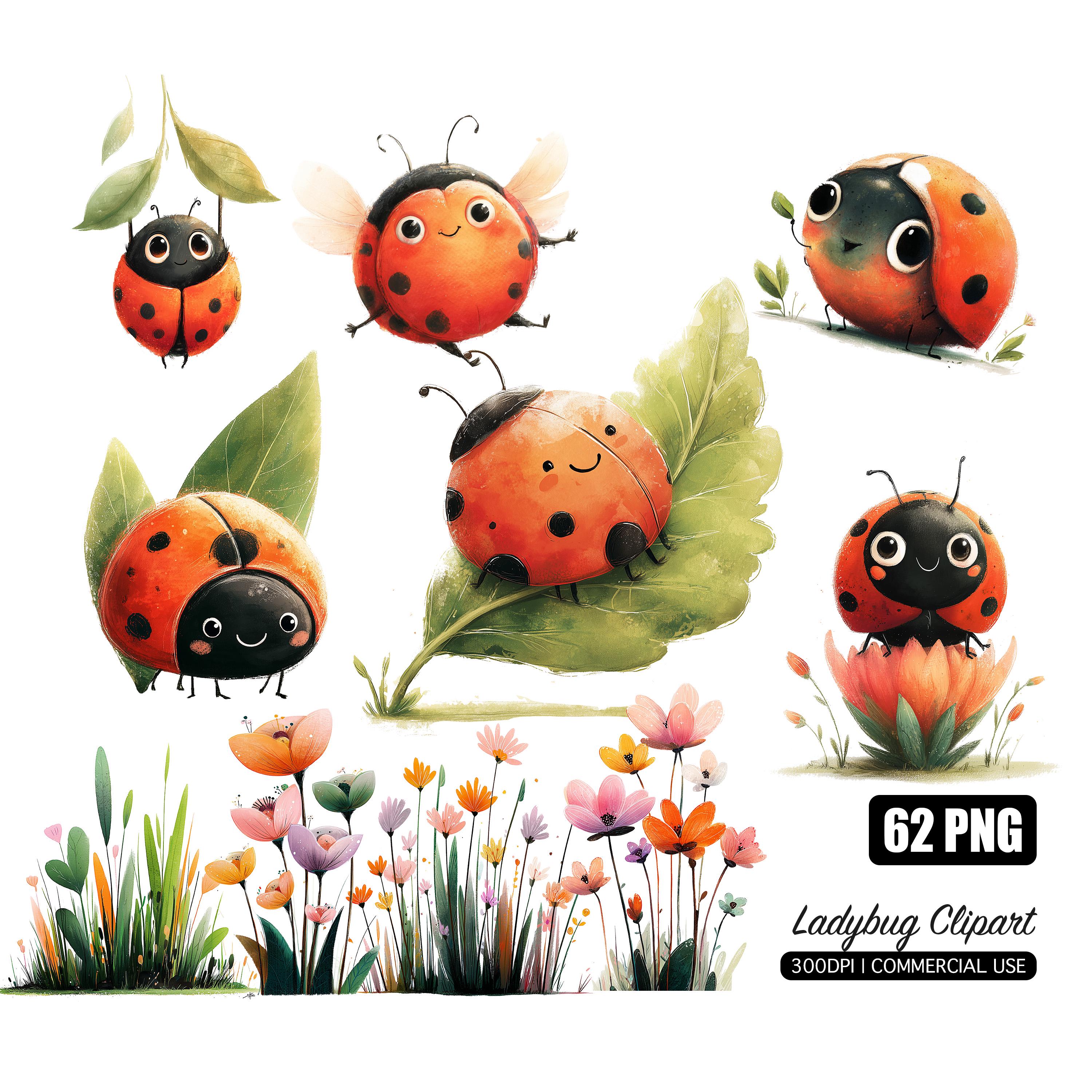 Watercolor Ladybug Clipart PNG Bundle With Transparent Background for ...