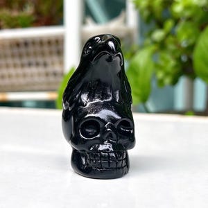 Natural Black Obsidian Raven Skull Carving Hand Carved Raven & Skull Crystal Figurine, Gothic Witchy Altar Decor, Reiki Healing Crystal