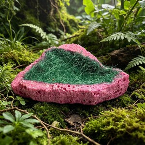 May include: A triangular-shaped decorative object with a porous, bright pink outer edge and a textured, dark green fibrous center. The object has a rough, uneven surface and a distinct contrast between the vibrant pink border and the green interior.