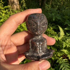 May include: A dark grey alien figurine in a seated yoga pose. The figurine has large oval eyes and a small smile. The stone has a speckled pattern and is held against green foliage.