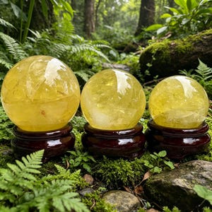 May include: Three polished yellow citrine crystal spheres of varying sizes, each resting on a dark brown circular wooden stand. The spheres are translucent with internal fractures and golden hues, displayed in a row on a mossy forest floor.
