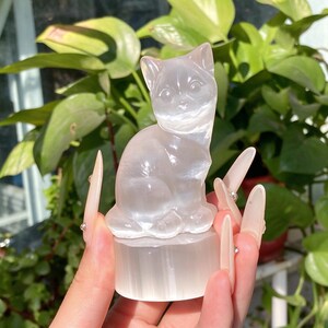 Op de afbeelding: Een doorschijnend, melkwit seleniet kristalbeeldje in de vorm van een zittende kat. Het katachtige figuur heeft puntige oren, gedefinieerde gelaatstrekken en een glad, gepolijst oppervlak, rustend op een cilindrische voet van hetzelfde materiaal.