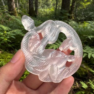 Natural Selenite Snake Carving,Quartz Crystal Snake,Gemstone Gift, Home Decor,Energy Healing 1PC