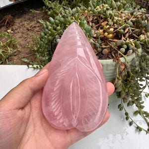 Puede incluir: Un cristal de cuarzo rosa tallado en forma de lágrima, con patrones grabados en forma de hojas. La piedra rosa pulida se sostiene en una mano, con un fondo borroso de vegetación.