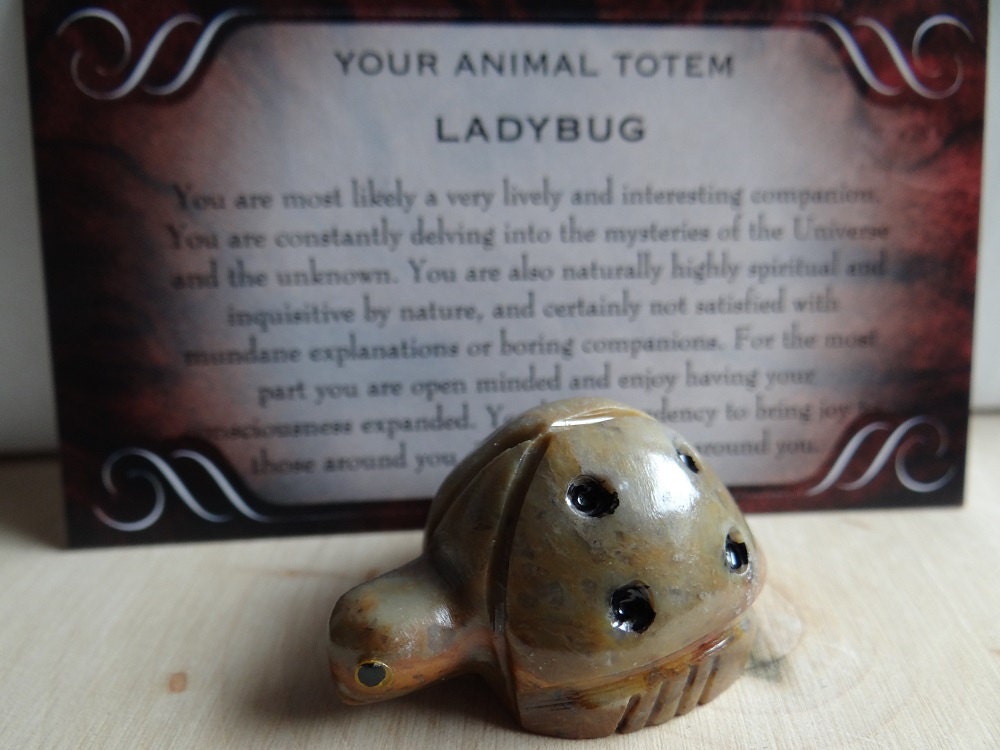 Hand Carved LADYBUG Animal Spirit Totem for Spiritual - Etsy Australia Hand Carved LADYBUG Animal Spirit Totem for Spiritual - Etsy Australia