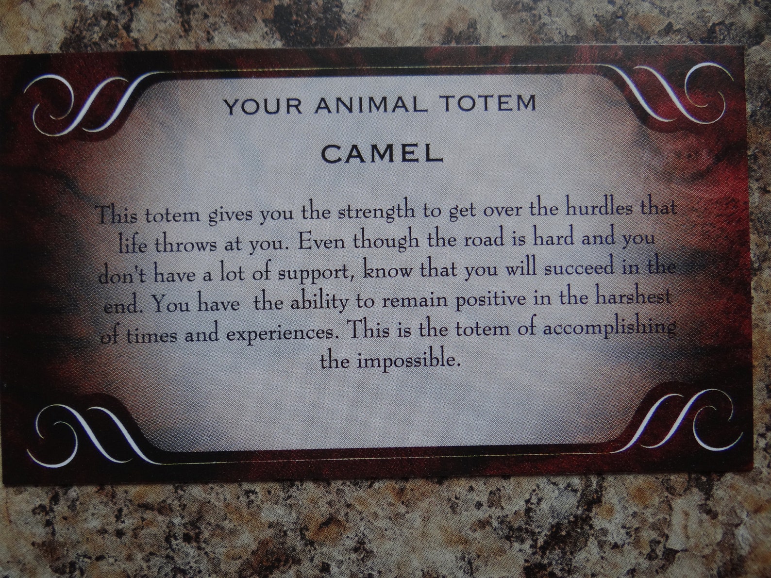 Hand Carved CAMEL Animal Spirit Totem for Spiritual Jewelry Etsy