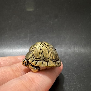 May include: A small, antique-style brass turtle figurine featuring a detailed, segmented shell pattern with a weathered, golden-brown patina. The miniature sculpture displays a rounded, domed carapace and visible textured skin details on the head and limbs.