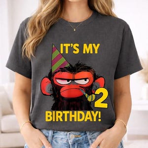 May include: Dark gray t-shirt with a cartoon monkey wearing a party hat and holding a party favor. The text "IT'S MY 2 BIRTHDAY!" is printed in yellow.