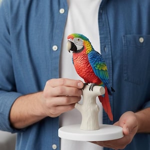 Könnte beinhalten: Eine farbenfrohe Ara-Papageien-Figur, die auf einem weißen Ast sitzt. Der Vogel hat rote, blaue, gelbe und grüne Federn, einen schwarzen Schnabel und ist auf einem weißen, kreisförmigen Sockel montiert. Die Figur wird von einer Person in einem blauen Jeanshemd gehalten.