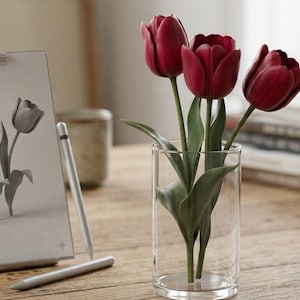 Könnte beinhalten: Ein Stillleben mit drei tiefroten Tulpen in einer durchsichtigen Glasvase. Eine Graustufenzeichnung von Tulpen wird auf einem Klemmbrett präsentiert, mit einem silbernen Stift in der Nähe. Eine Tasse und Bücher sind im Hintergrund.