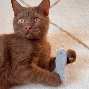 May include: A solid brown cat with large amber eyes and long whiskers, holding a small, light gray, felted wool fish toy between its front paws. The cat has a smooth, short-haired coat and is looking upward with an alert, focused expression.