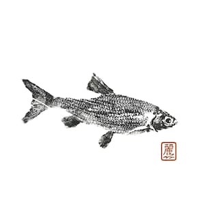 Gyotaku Roach A5 – Stampa di pesce – Stampa giapponese – Arte del pesce – Decorazione a tema pesca