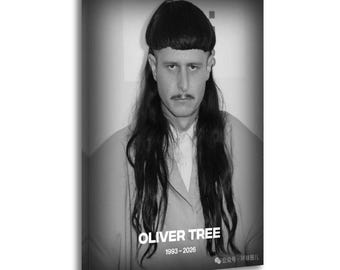 May include: A black and white canvas print featuring a portrait of Oliver Tree with a bowl cut and long hair, wearing a collared shirt. The text OLIVER TREE 1993-2026 is printed in white at the bottom center of the rectangular wall art piece.