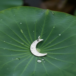 May include: A silver crescent moon pendant with a hammered texture. The pendant hangs from a small loop. The moon is set against a green leaf with water droplets.