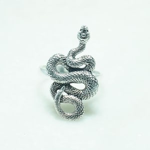 Pode incluir: Um anel de tom prateado com um design de serpente enrolada. A superfície metálica tem um acabamento texturizado e oxidado que destaca as escamas detalhadas da serpente, que se enrola em torno do aro com a cabeça posicionada no topo.