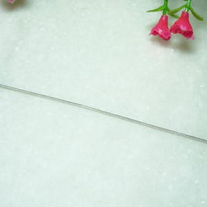 Könnte beinhalten: Eine dünne, silberfarbene Schlangenkette mit einer glatten, flexiblen metallischen Textur. Die Kette ist in einer geraden, diagonalen Linie angeordnet und zeigt ihr gleichmäßiges, eng miteinander verbundenes zylindrisches Design.