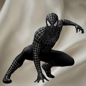 May include: A black Spider-Man costume with a white web pattern. The superhero is in a crouching position, with white eye lenses. The costume has a spider emblem on the chest.