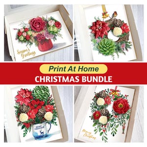 May include: A digital Christmas bundle featuring four greeting card designs with floral arrangements, wreaths, poinsettias, pinecones, and greenery. The cards include text reading Season's Greetings, Merry Christmas, and Merry Christmas on a blue mug.