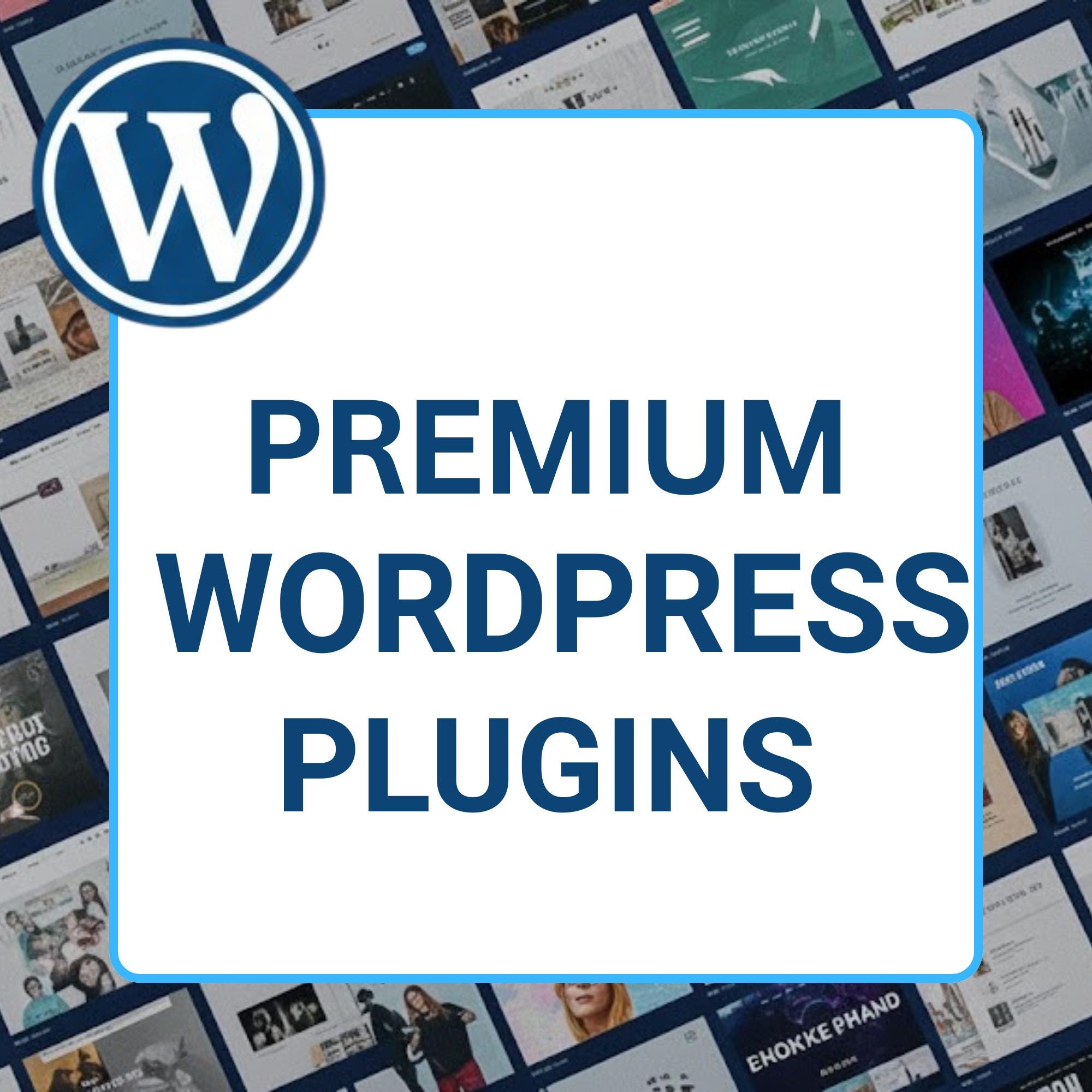550+ Premium Wordpress Theme & Plugins Digital Products Bundle | Canva ...