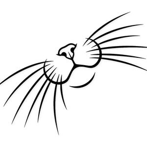 Puede incluir: Una ilustración gráfica en blanco y negro que representa la nariz y los largos bigotes de un felino. El diseño presenta líneas audaces y fluidas que forman el hocico, los orificios nasales y múltiples bigotes extendidos hacia afuera.