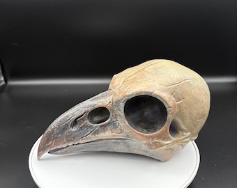 Hand Painted Crow Skull