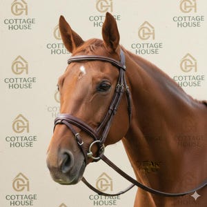 Stainless Steel Horse Bit | Equestrian Riding & Training Equipment