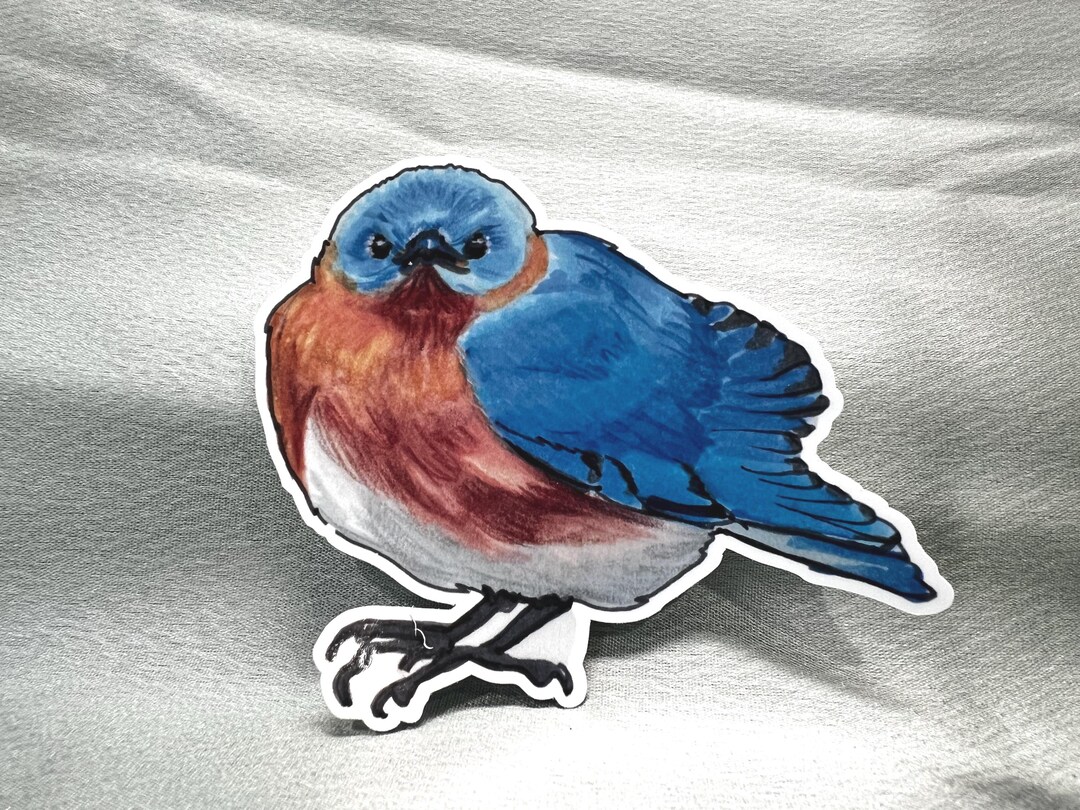 Hand Drawn Bluebird Sticker Original Sketchbook Art Sticker (1 of 2) - Etsy