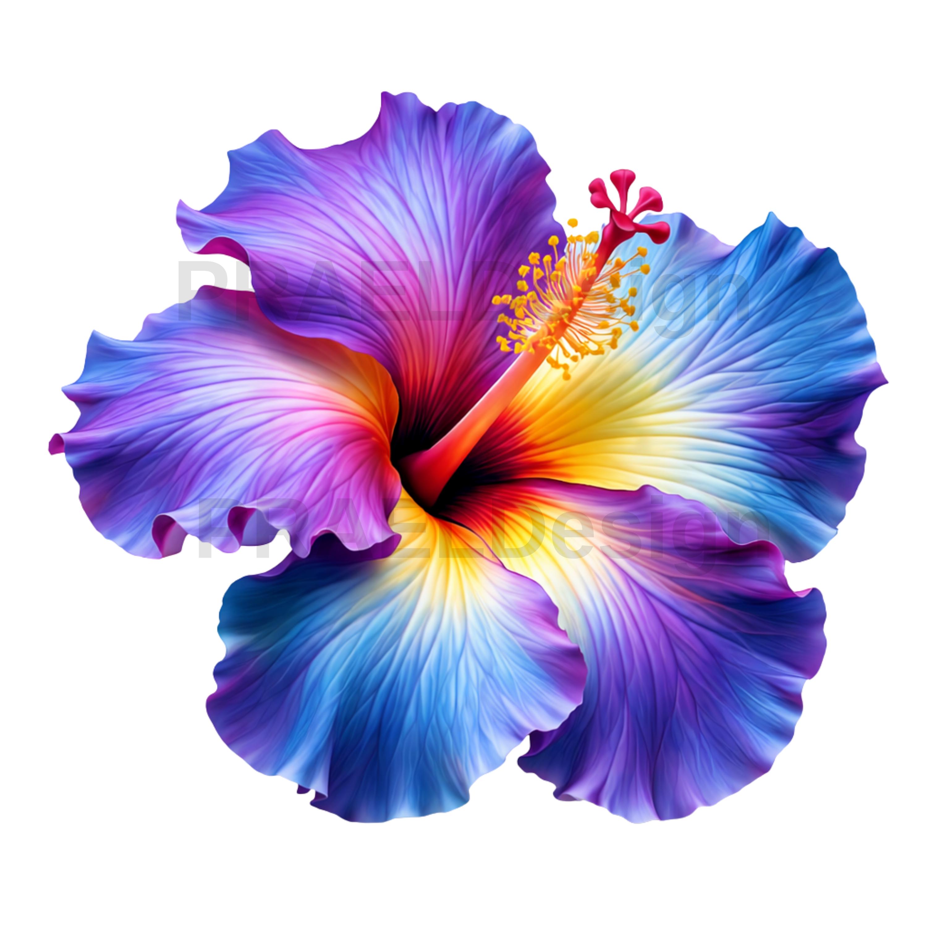 Tropical Hibiscus Flower Clipart Bundle | PNG SVG Files (digital ...