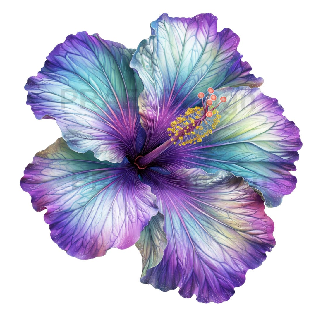 Tropical Hibiscus Flower Clipart Bundle | PNG SVG Files (digital ...