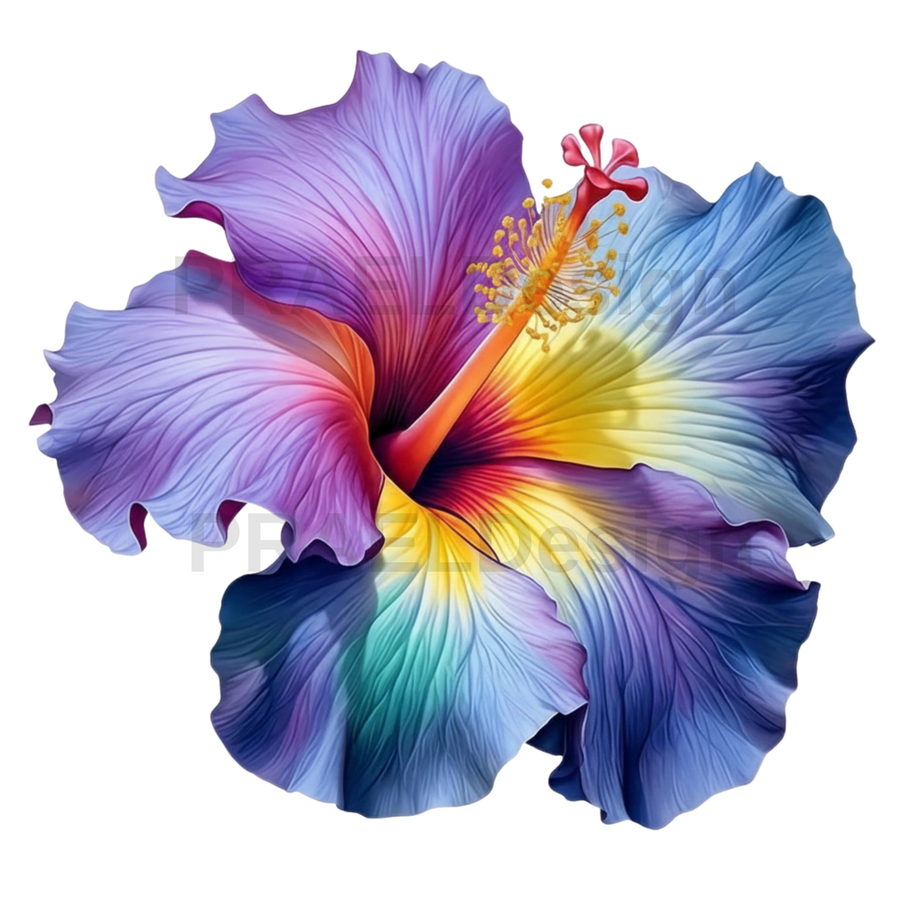Tropical Hibiscus Flower Clipart Bundle | PNG SVG Files (digital ...