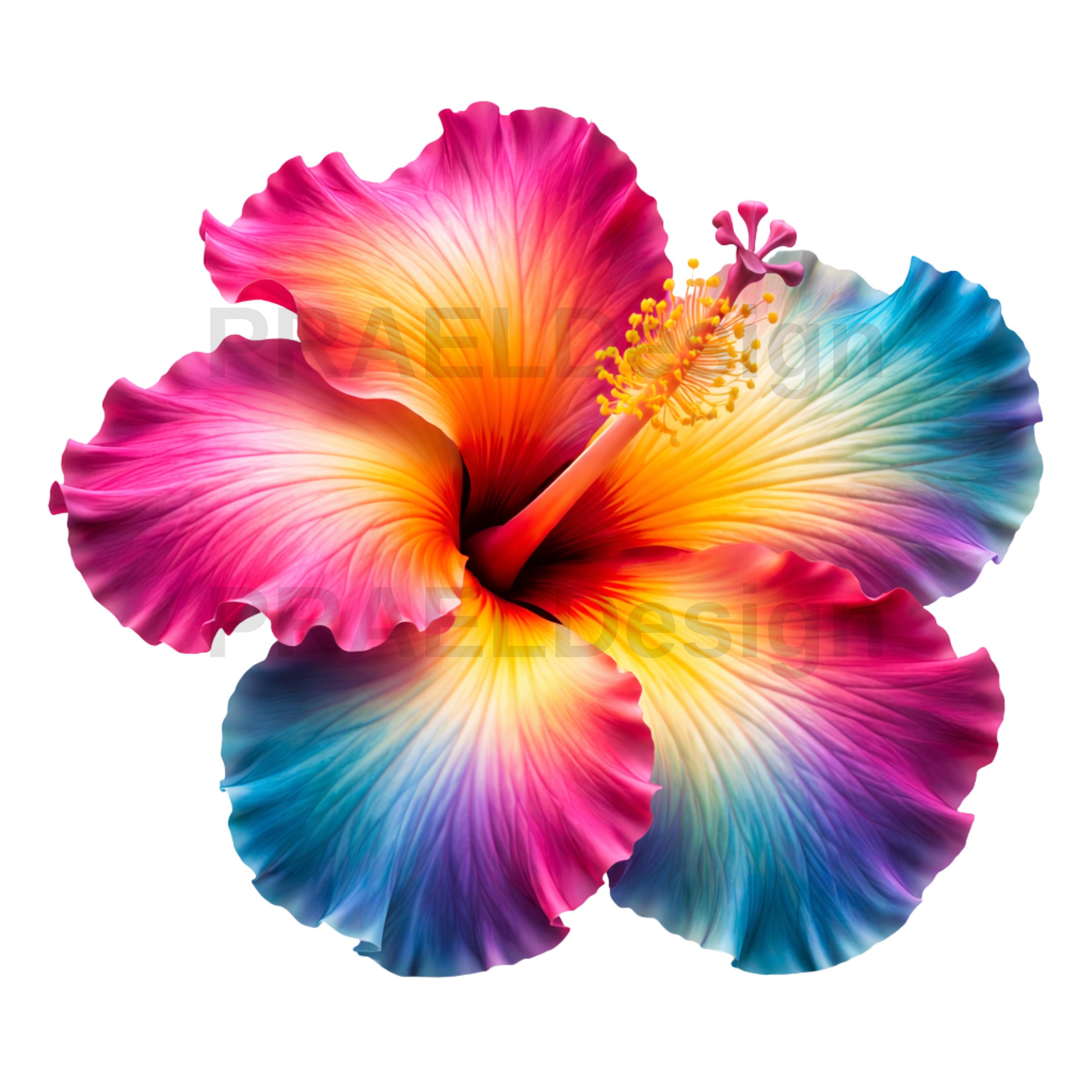 Tropical Hibiscus Flower Clipart Bundle | PNG SVG Files (digital ...