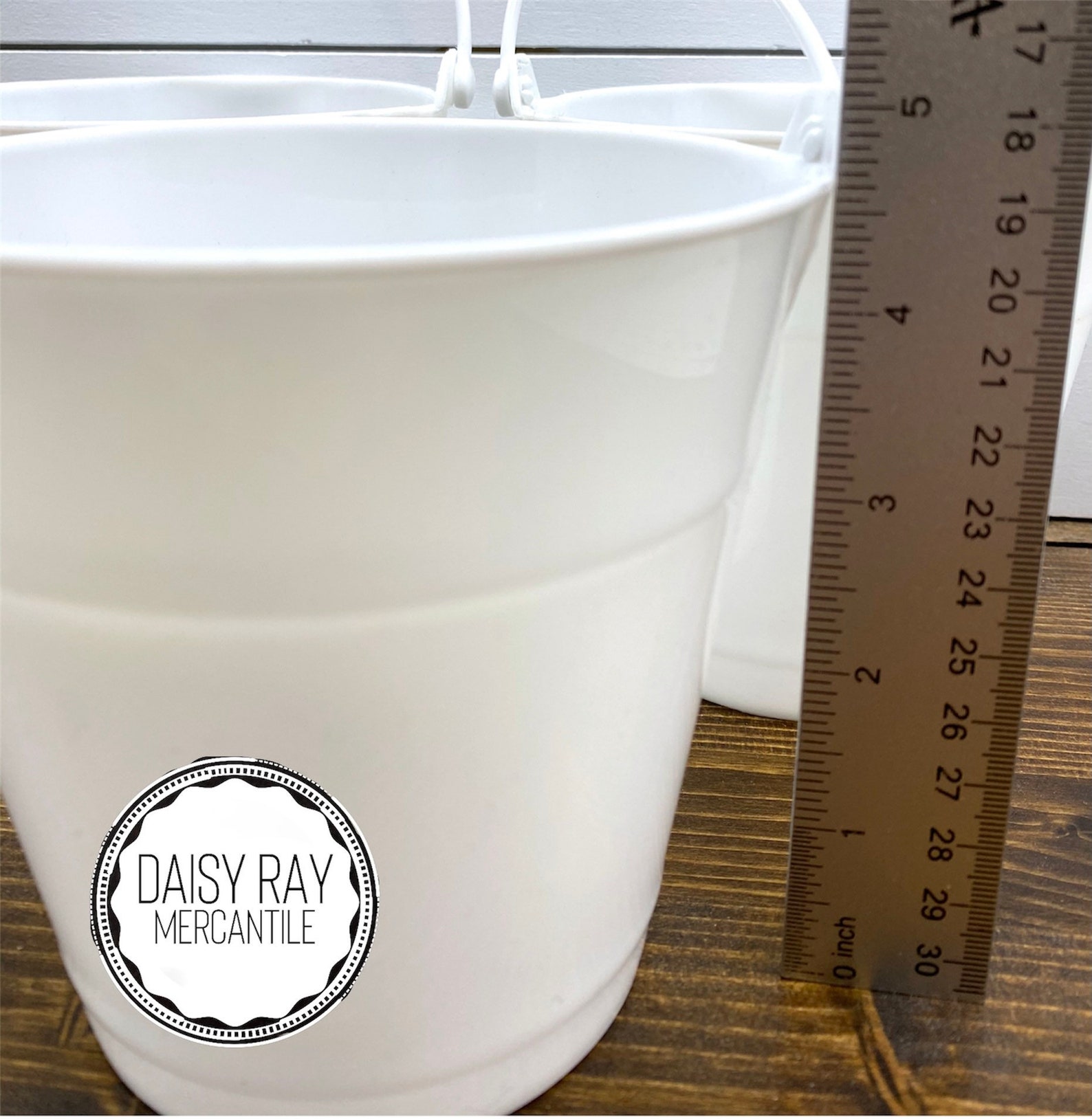 Party Favor Pail Birthday Party Favor Easter Favor Bucket Etsy