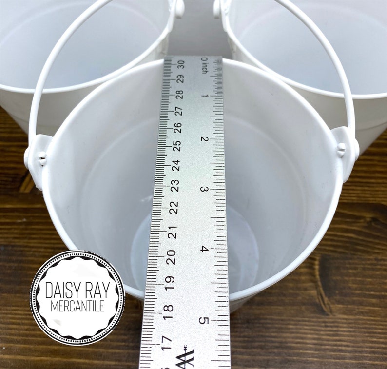 Party Favor Pail Birthday Party Favor Easter Favor Bucket Etsy