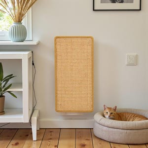 May include: A rectangular cat scratching post made of woven material, mounted on a white wall. The post has a light brown border. An orange tabby cat rests in a round, beige cat bed on the floor. A white shelf and a vase with dried plants are also visible.