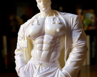 Sexy Bara Doctor Figure – Muscular Medical Fantasy Hunk