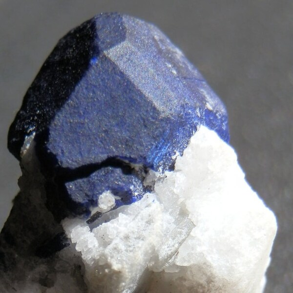 Lapis Lazuli. Lazurite on marble crystal display mineral specimen. 31mm tall. Very rare specimen.