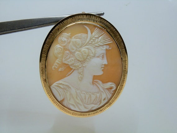 Shell Cameo & 14k Gold Brooch Pendant Combo, 18.9… - image 7