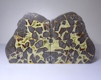 Septarian Egg Nodule Geode Book Ends, 5.75" tall, Utah Mineral, Matched Set. DanPicked