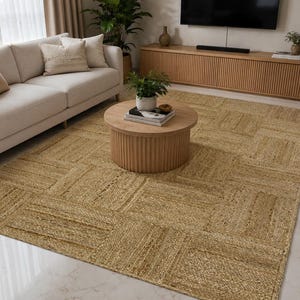 May include: A rectangular jute rug with a geometric pattern in shades of tan and beige. The rug is placed in a living room setting, with a light-colored sofa, coffee table, and wooden entertainment center visible in the background.
