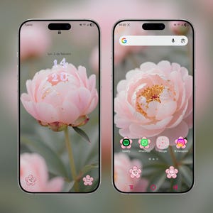 Puede incluir: Dos smartphones que muestran un tema floral. La pantalla de bloqueo muestra una peonía rosa con la fecha y la hora. La pantalla de inicio presenta la misma flor, iconos de aplicaciones y una barra de búsqueda. El fondo es rosa suave y borroso.