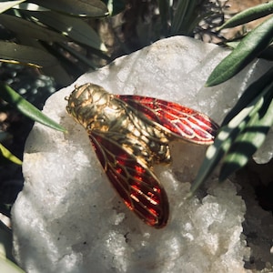 Rene Gouin Cicada - Etsy