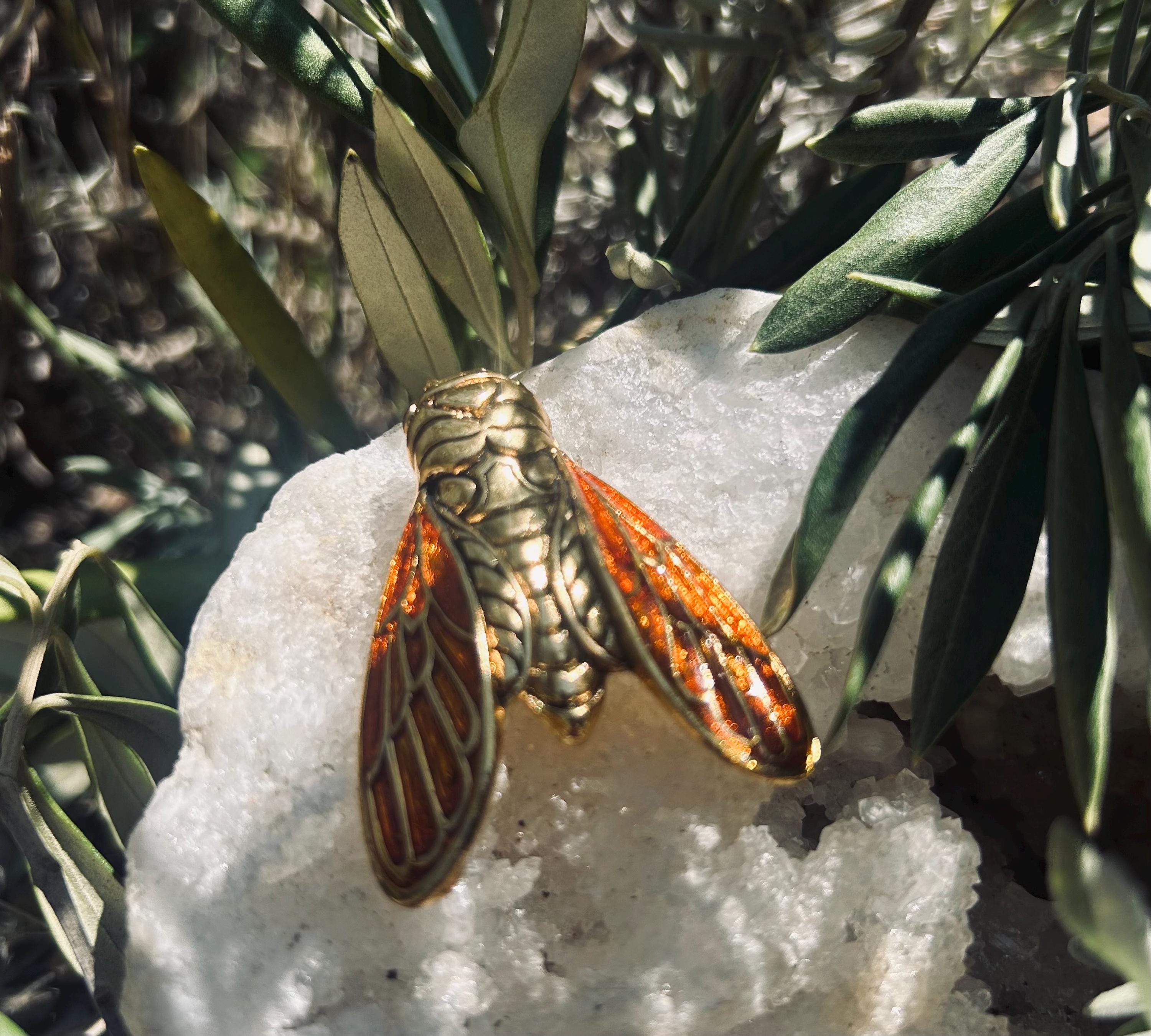 Rene Gouin Cicada - Etsy