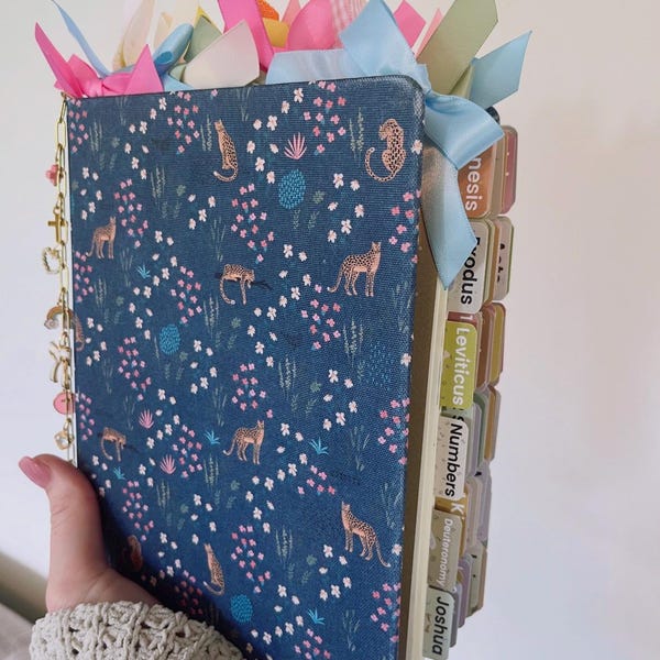 Preloaded Cheetah Bible | Handwritten Notes & Prayer Tabs