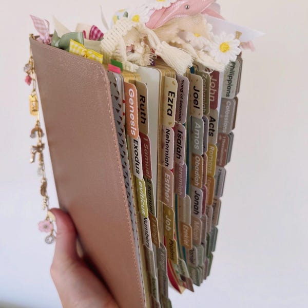 She Reads Truth Preloaded Bible with Tabs | Handwritten Notes, Christian Gift